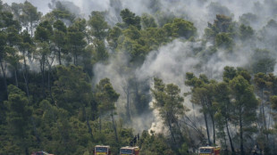 À Saint-Laurent-de-la-Cabrerisse, le désespoir des vignerons sinistrés par le feu