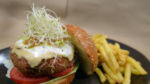 Veggie-Burger: EU-Namensverbot vorerst vom Tisch