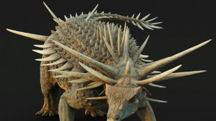 Científicos descubren un "extraño" dinosaurio cubierto de una armadura de púas