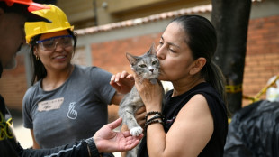 Sobreviventes reencontram animais de estima&ccedil;&atilde;o ap&oacute;s terremoto na Col&ocirc;mbia