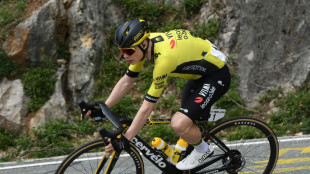 Vingegaard, Roglic und Evenepoel bei St&uuml;rzen schwer verletzt