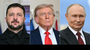 Polar bear waltz: Fake Trump-Putin AI images shroud Ukraine peace effort