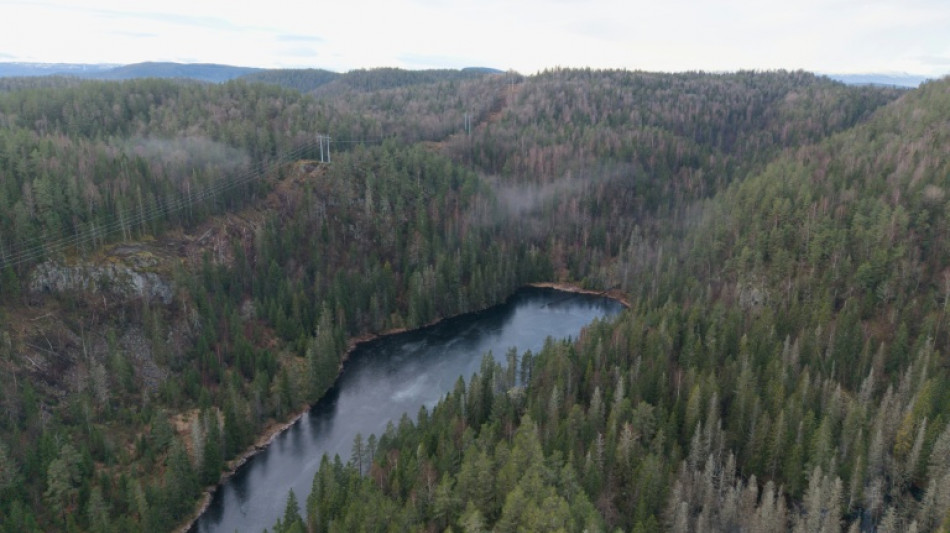 Beetles block mining of Europe's biggest rare earths deposit