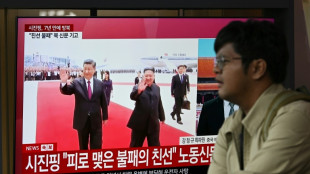 Xi zu zweit&auml;gigem Besuch in Nordkorea eingetroffen