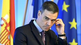 Pedro S&aacute;nchez defiende la "justicia fiscal" al criticar la salida de una empresa espa&ntilde;ola