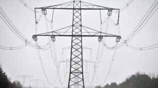 Deutlicher Anstieg der Stromerzeugung aus erneuerbaren Energien im ersten Quartal