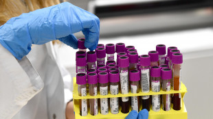 Oltre 500mila persone in Italia con tumori sangue, 30mila l'anno