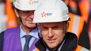 Macron re&ccedil;oit "l'&eacute;quipe de France" de l'&eacute;lectrification &agrave; l'Elys&eacute;e