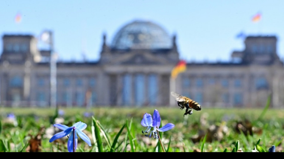 Bundestagsspitze fasst sch&auml;rfere Sicherheitsbestimmungen f&uuml;r Parlament ins Auge