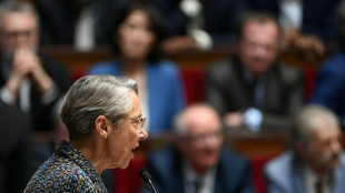 El art&iacute;culo 49.3, un pol&eacute;mico mecanismo para esquivar el Parlamento