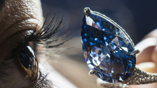 Mellon Blue diamond sells for $25.6 million