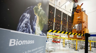 Europa planeja criar potência de satélites para rivalizar com Starlink de Musk