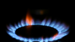 Fahimi fordert Energiepreisdeckel f&uuml;r Privathaushalte 