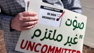 Biden entscheidet Vorwahlen in Michigan f&uuml;r sich - bekommt aber Denkzettel wegen Nahostpolitik 