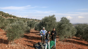 Un segundo palestino muere en dos d&iacute;as de incidentes con colonos israel&iacute;es