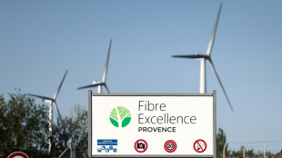Fibre Excellence: menac&eacute;e de liquidation, l'"usine qui pue" de Tarascon divise