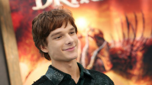 'How to Train Your Dragon' soars to top of N.America box office