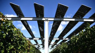 Des vignerons s&eacute;duits par l'agrivolta&iuml;sme face aux al&eacute;as du climat
