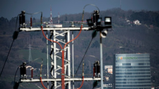 El beneficio de Iberdrola aument&oacute; en el primer semestre por la venta de activos