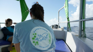 Mayotte: sur la piste des dugongs, mammif&egrave;res mythiques en danger d'extinction
