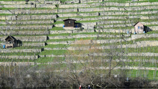 Keine &Ouml;lverschmutzung mehr auf Neckar bei Stuttgart