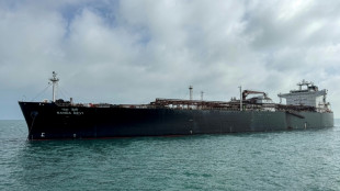 Commodities exports through Strait of Hormuz collapse, except for Iran
