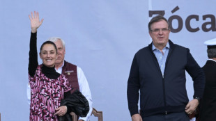 El partido de AMLO tendr&aacute; candidato a las presidenciales tras una encuesta