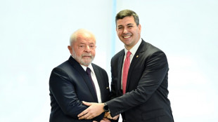Paraguayo Pe&ntilde;a denuncia "duras" exigencias ambientales de UE a Mercosur