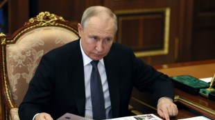 Putin no asistir&aacute; a la cumbre de los pa&iacute;ses BRICS en Sud&aacute;frica