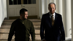 Biden and Zelensky: odd couple brought together by war 