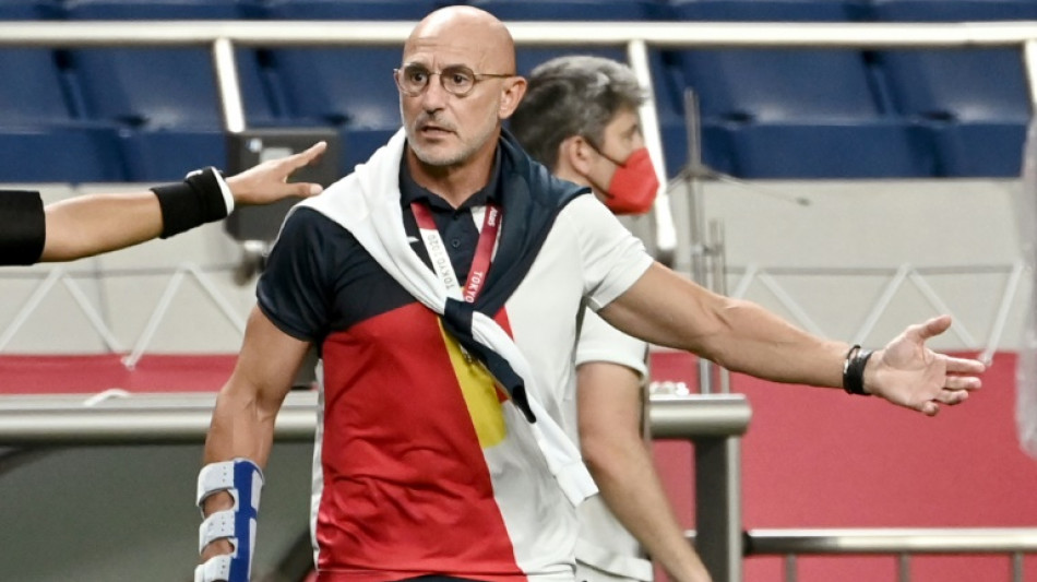 Luis de la Fuente, nuevo seleccionador espa&ntilde;ol