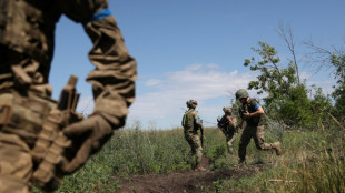 Ucrania afirma que liber&oacute; 16 km2 en el este y sur del pa&iacute;s la semana pasada