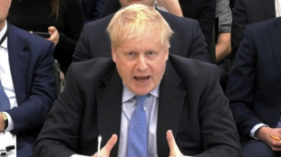 Laboristas brit&aacute;nicos reclaman elecciones anticipadas tras dimisi&oacute;n de Johnson a su banca