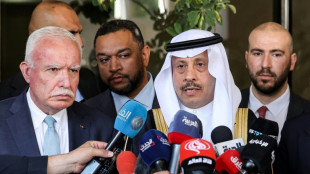 Saudi envoy seeks to reassure Palestinians amid talks with Israel
