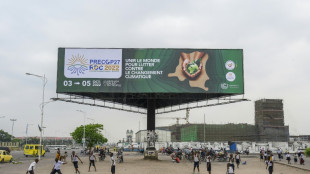 Climat: &agrave; Kinshasa, une "pr&eacute;-COP" africaine et revendicative