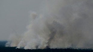 Feuerwehr macht Fortschritte bei L&ouml;schen von Gro&szlig;brand in Berliner Grunewald