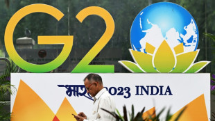 Qui&eacute;n va y qui&eacute;n no va a la cumbre del G20 en India
