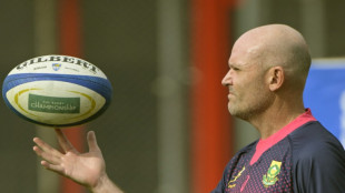 Nienaber to quit Springboks for Leinster after World Cup
