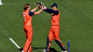 Netherlands edge closer to World Cup Super 12 with tense Namibia win