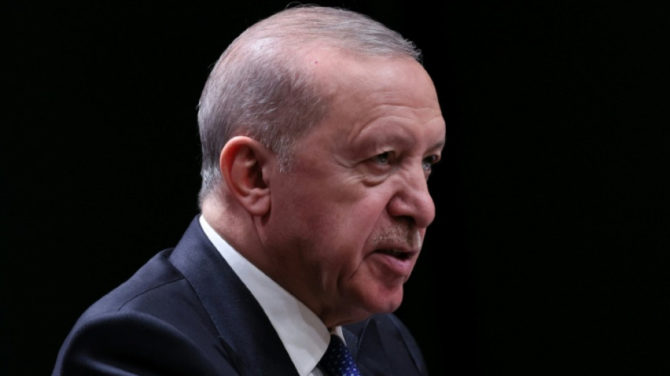 Turkish MPs back limited amnesty for Kurdish militants