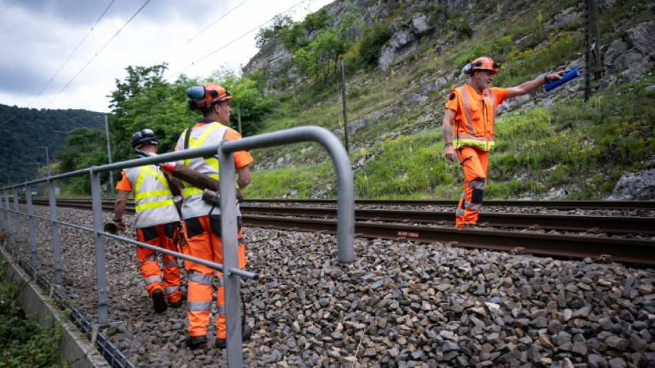 Prolif&eacute;ration de la v&eacute;g&eacute;tation et pr&eacute;cipitations abondantes: la SNCF mise au d&eacute;fi d'adapter son r&eacute;seau