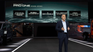 Cappellano (Stellantis), il futuro dei commerciali leggeri dipende da norme Ue