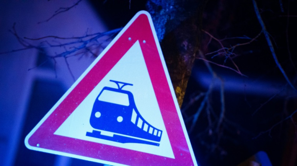 L'Allemagne en train &agrave; petit prix, pari pour le climat et le pouvoir d'achat