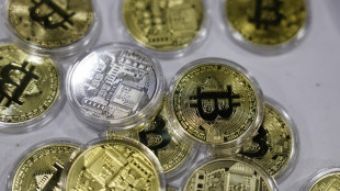 Oam, più italiani con cripto, cala valore dei portafogli