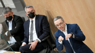 La ultraderecha de Austria prepara su regreso bajo un nuevo l&iacute;der