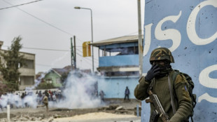 Al menos 48 muertos en la represi&oacute;n de una manifestaci&oacute;n anti-ONU en RD Congo