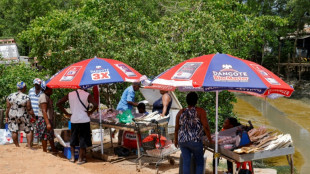 En Guyane, l'acoupa rouge, "symbole" en voie de rar&eacute;faction