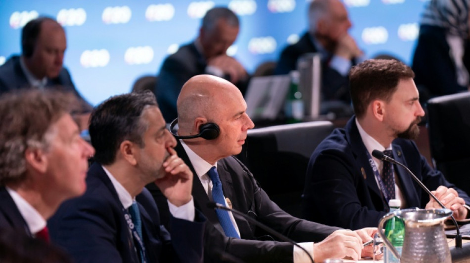 Russian finance minister makes unexpected appearance at G20