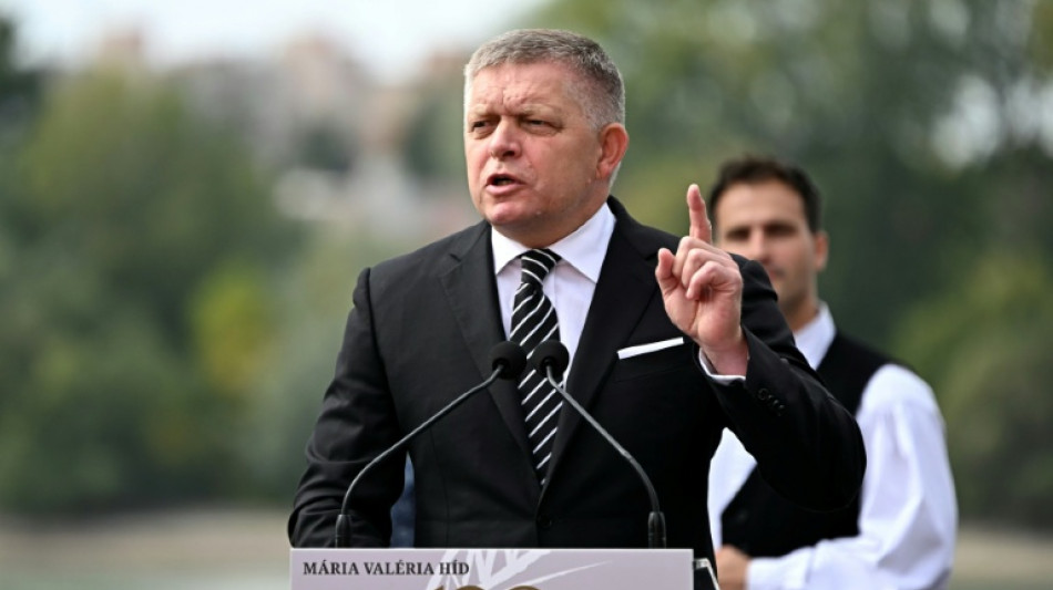 Kreide-Proteste gegen Regierung in der Slowakei