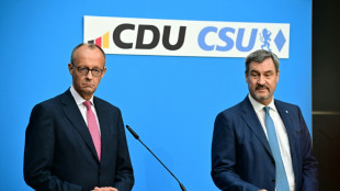 S&ouml;der widerspricht Merz: Habeck und Gr&uuml;ne geh&ouml;ren in die Opposition